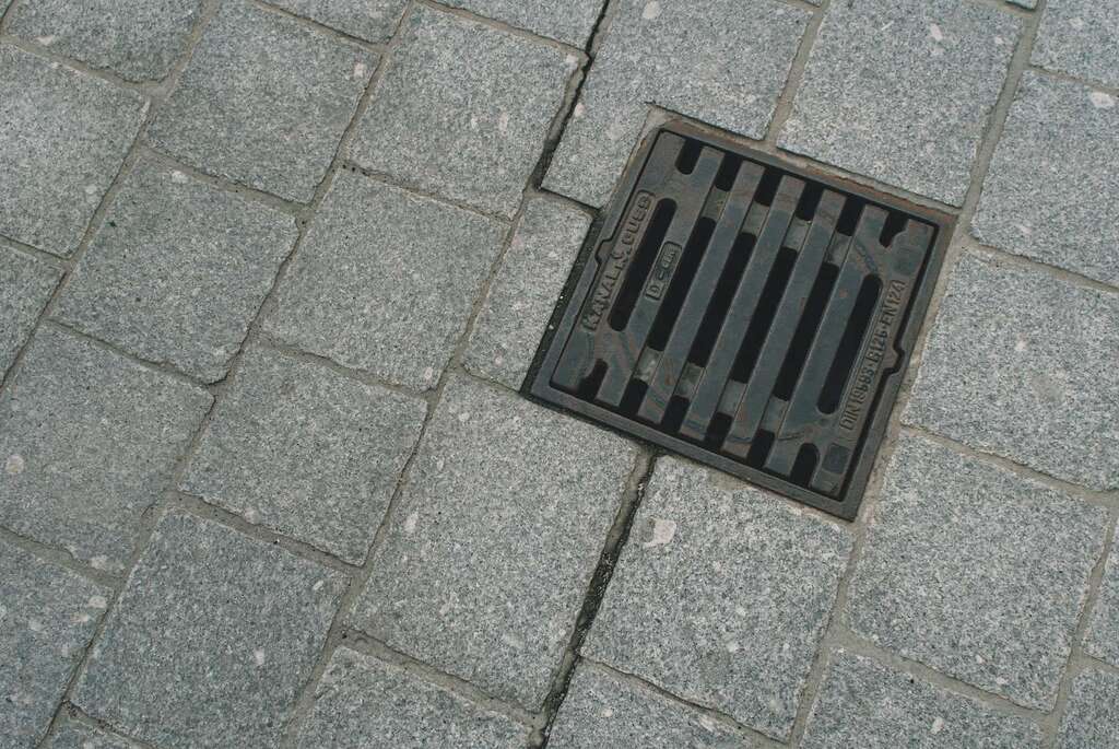 Importance of Maintaining a Healthy Drainage System image