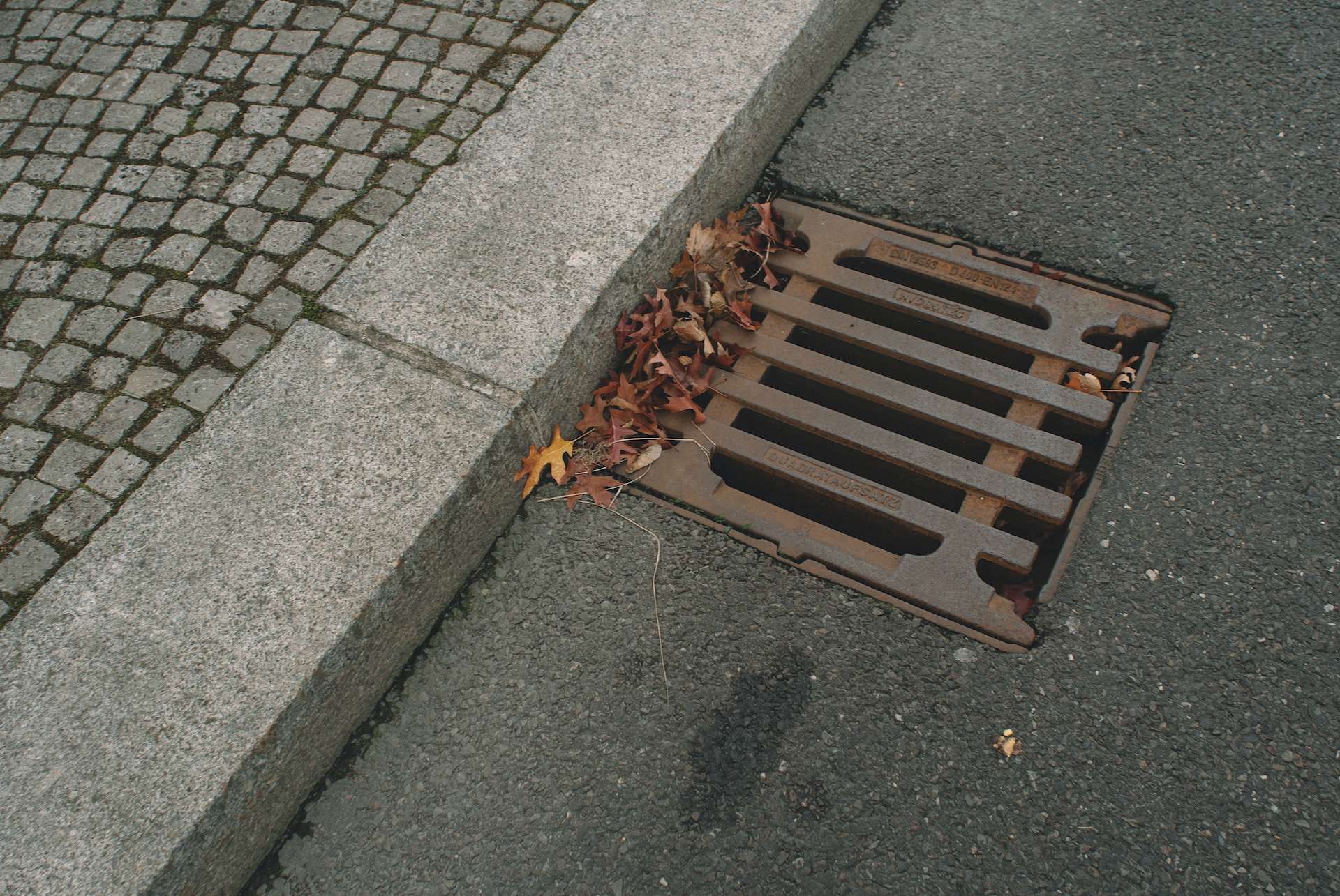 Metal drain partially covered by autumnal leaves by a pavement.